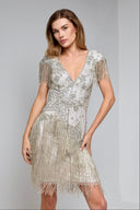 TAYLOR BEADED DRESS IN SILVER