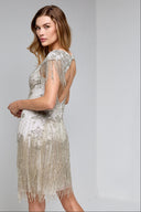 TAYLOR BEADED DRESS IN SILVER