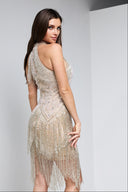 FRIDA BEADED DRESS IN CHAMPAGNE