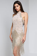 FRIDA BEADED DRESS IN CHAMPAGNE