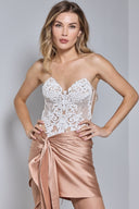 HAILEY MINI DRESS IN CHAMPAGNE