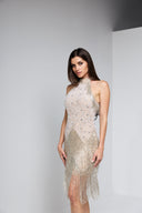 FRIDA BEADED DRESS IN CHAMPAGNE